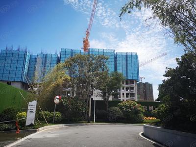 稀缺墅居價值重估 翔安首創禧瑞風華以精工優勢重新占位廈門商貿圈